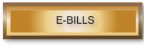 e-bill